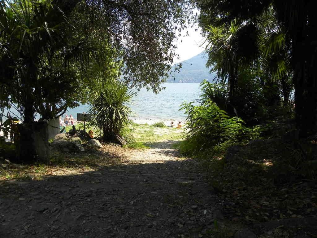 湖景公寓 Acquaseria 外观 照片