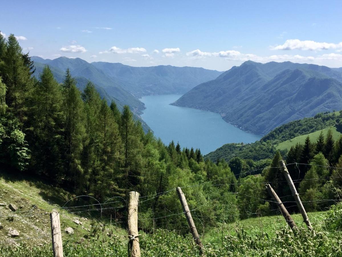 湖景公寓 Acquaseria 外观 照片