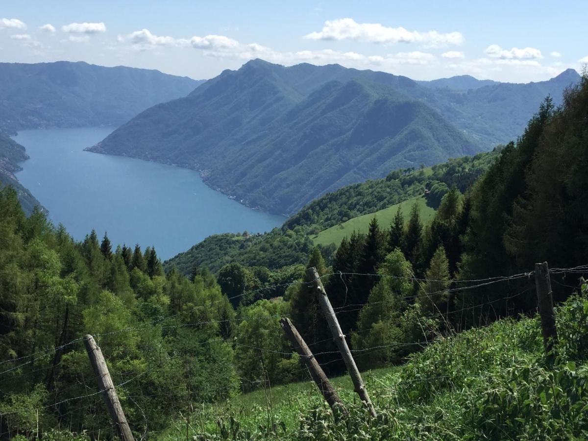 湖景公寓 Acquaseria 外观 照片
