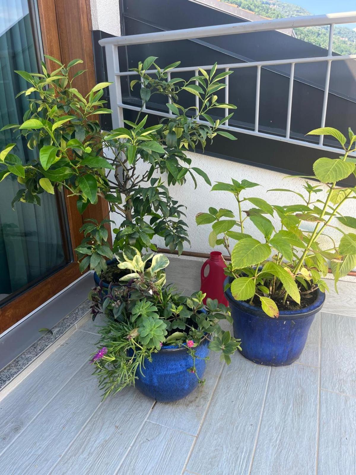 湖景公寓 Acquaseria 外观 照片
